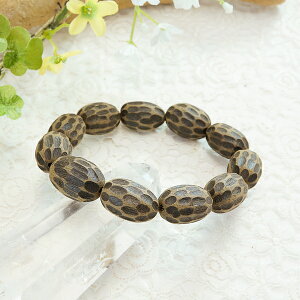y^CZ[z   (񂱂) A} yuXbg ȉ~15×20mm yL/18.5cmz p[Xg[ VR r ANZT[ fB[X Y    JWA