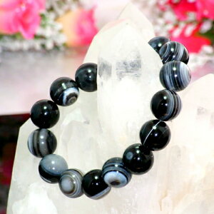 y|Cg20{z `xbg̔ V12mmuXbg p[Xg[ VR r ANZT[ fB[X Y r[Y    JWAfUC t@bV v[