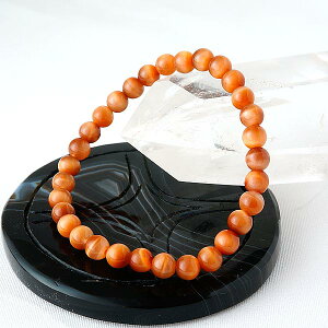 y^CZ[z ɏi IW^CK[AC(T^CK[AC) 6mm uXbg p[Xg[ VR r ANZT[ fB[X Y    JWA t@b