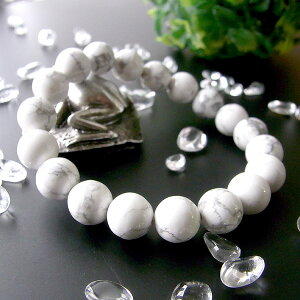 y|Cg20{z nECg10mmuXbg p[Xg[ VR r ANZT[ fB[X Y r[Y    JWAfUC t@bV v[g 킢