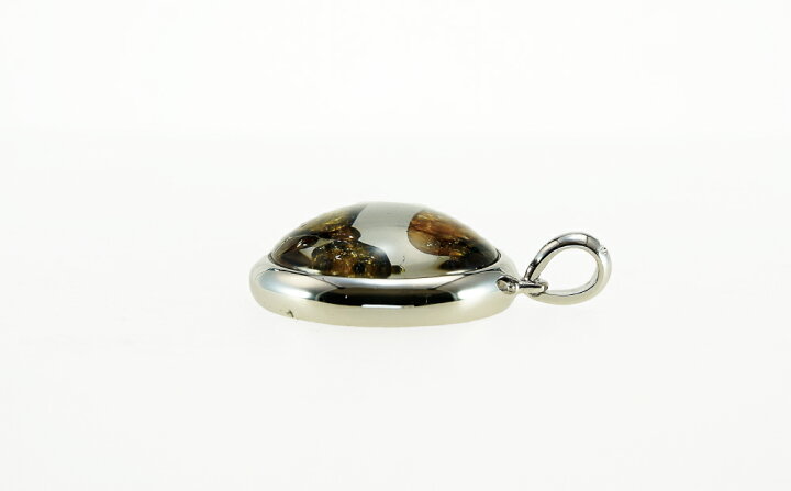 25934円 定番人気! TENKAPAS ロシア産 セイムチャン隕石 パラサイト ペンダント ネックレス 丸型 20mm 1.2mm スネークチェーン付き p9514 25934円 定番人気! TENKAPAS ロシア産 セイムチャン隕石 パラサイト ペンダント ネックレス 丸型 20mm 1.2mm スネークチェーン付き p9514