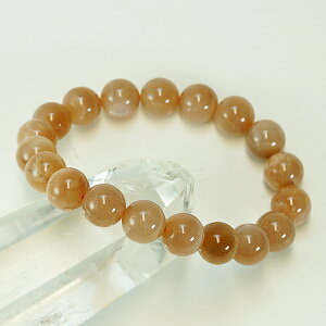 y|Cg20{z 6a ǉĂъ񂹂 IW[Xg[ 10mmuXbg p[Xg[ VR r ANZT[ fB[X Y    JWA t@