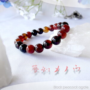 y|Cg20{z ̓` mE10mmuXbg p[Xg[ VR r ANZT[ fB[X Y r[Y    JWAfUC t@bV v[