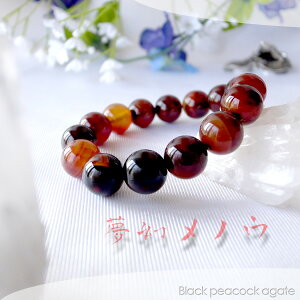 y|Cg20{z ̓` mE14mmuXbg p[Xg[ VR r ANZT[ fB[X Y r[Y    JWAfUC t@bV v[