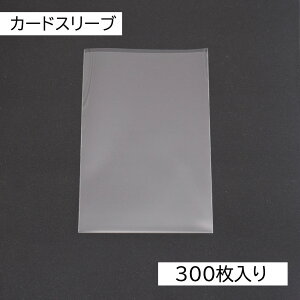 y^CZ[z J[hX[u 6.7cm×10cm 300  J[hQ[