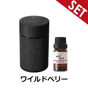 �y���C���h�x���[�I�C���Z�b�g�zL10004+L10015 CARMATE �u�����O �������t���O�����X�f�B�t���[�U�[2 �u���b�N