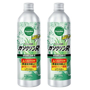 y܂t2{Zbgz K\NR 200g K\GW RY Zk^Cv