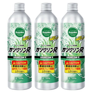 y܂t3{Zbgz K\NR 200g K\GW RY Zk^Cv