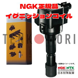 U5145 NGK �C�O�j�b�V�����R�C�� ���K�i 1�{