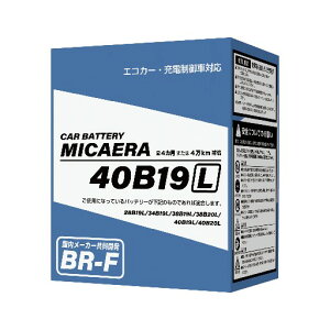 BR-F40B19L �u���[�h MICAERA �J�[�o�b�e���[ L�[�q �X�^���_�[�h�^�C�v �ʏ�ԗp �G�R�J�[�E�[�d����ԑΉ� 24�����܂���4���L���⏞