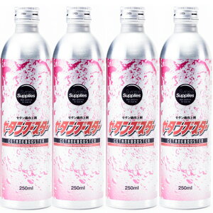 y܂tz Z^u[X^[ 250ml×4{Zbg(1,000ml)(1L) Z^ fB[[RY