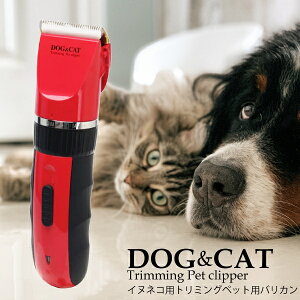 ybgpoJ pO[~OoJ poJ LpoJ R[hX [d ybgO[~OZbg Jbg