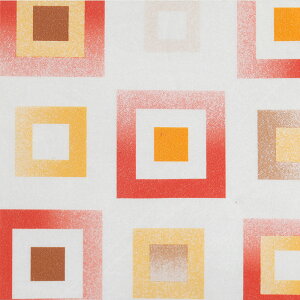 KXtB y0.92m×1mzXehOX 18I ډB  ډB V[g XehOX  悯 KXtB tB  ܂KX Uh~ DIY h nk΍ T[