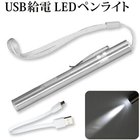 USB給電 LEDペンライト 懐中電灯 LED ペンライト USB 充電タイプ 災害時 アウトドア メール便 送料無料