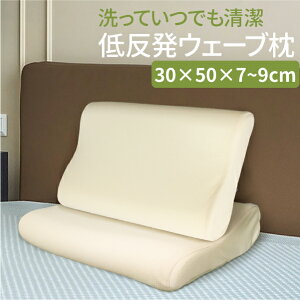 y9/4`9/11 Gg[Ń|Cg10{z Ăł ᔽEF[u 30cm×50cm×7`9cm ܂邲Ɛ􂦂 ᔽ E^tH[ s[ ܂ ̈U ʋCQ