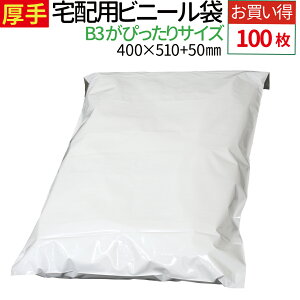 yV1 zrj[ 100 傫TCY  B3 ɋ߂TCY Ȃ e[vt zCg 400×510{t^50mm 80~N ̗m jbg Jo    z rj[ 