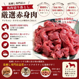 馬刺し専門店の　馬肉切落し500g　※ペット赤身　　／ペットフード／生肉