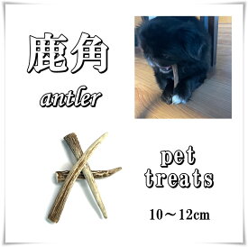 鹿の角　10～12cm3本入り　小型犬向け　ペットおやつ 国産 犬 天然素材 無添加 ガム 骨 おもちゃ　ネコポス便発送　送料無料　常温便対応　KOMORO PREMIUM　天馬