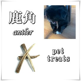 鹿の角　10～12cm3本入り　中、大型犬向け　ペットおやつ 国産 犬 天然素材 無添加 ガム 骨 おもちゃ　ネコポス便発送　送料無料　常温便対応　KOMORO PREMIUM　天馬