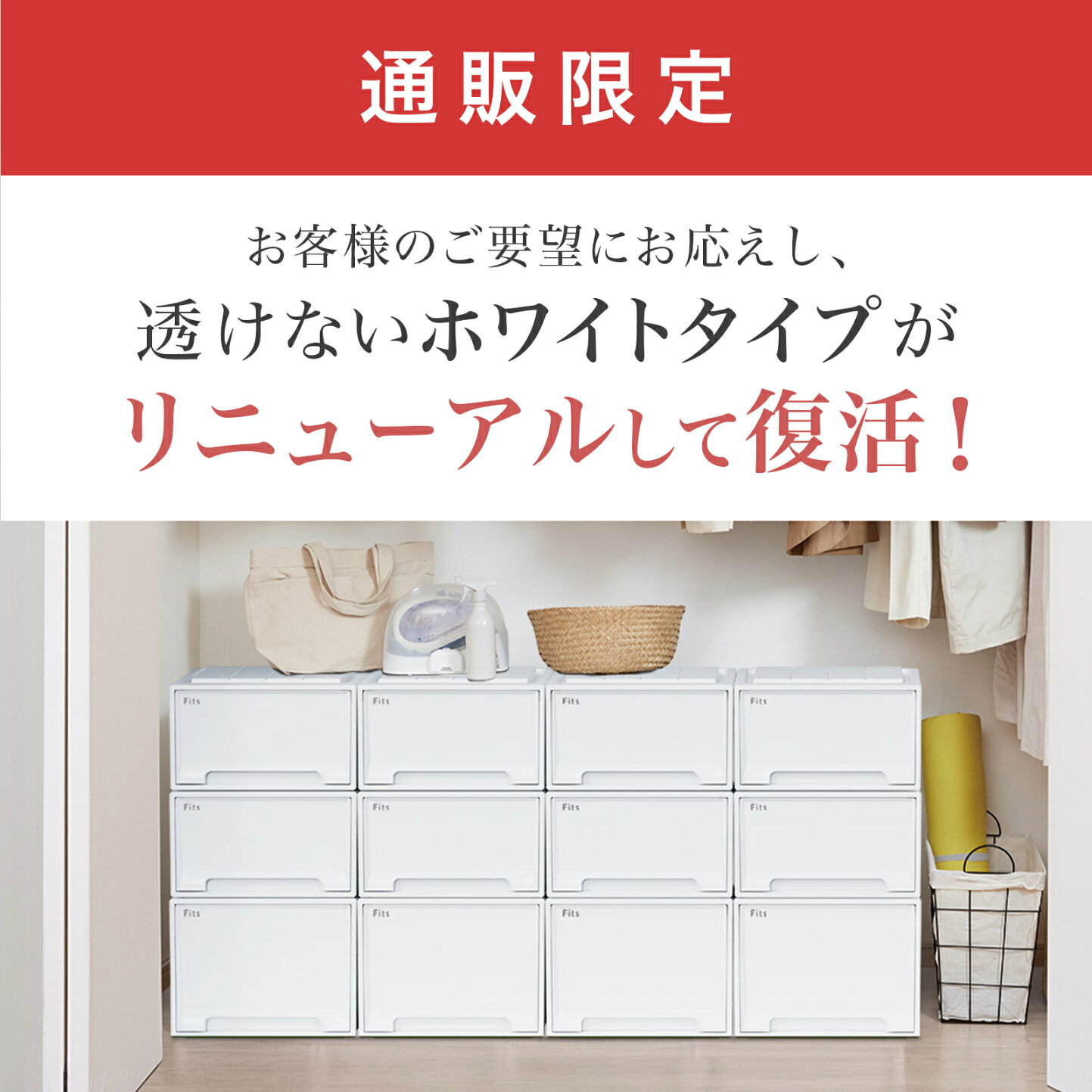 楽天市場 | テンマフィッツワールド楽天市場店 - 【 NEW ITEM 】新商品 