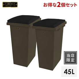 【送料無料】【2個セット】イーラボホーム つなげて分別用ペール45L ダークブラウンゴミ箱 分別 45リットル ふた付き キッチン ごみ箱 ダストボックス プラスチック 天馬 日本製