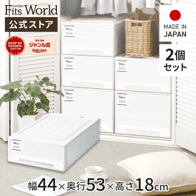 【送料無料】フィッツケース モノ クローゼット ワイドS-53 2個セットfits 衣装ケース 収納ケース 収納ボックス 奥行53 幅44 天馬 公式 公式店 日本製