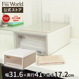 ◇6/4（火）20:00～23:59 最大25%OFFクーポン対象◇フィッツケース リトル カプチーノfits 収納ケース 収納ボックス おしゃれ 衣類 小物 天馬