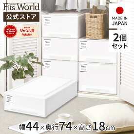 【送料無料】フィッツケース モノ スリムL 2個セットfits 衣装ケース 収納ケース 収納ボックス 奥行74 幅44 ホワイト 白 おしゃれ 衣類 天馬 公式 公式店 日本製