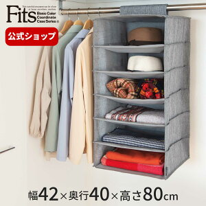 フィッツファブリック ハンギングラック Lfits 収納 収納ケース クローゼット 吊り下げ収納 6段 パイプハンガー 吊るせる 洋服 小物 洋服 整理 シンプル 天馬