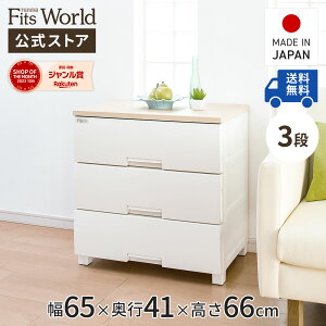 MAX20OFFN[|I11/20`11/27 1:59`FXg ߑP[X [P[X [{bNX ߗގ[ tBbcvX F6503 [v o vX`bN 3i 65 66cm Vn  X { 