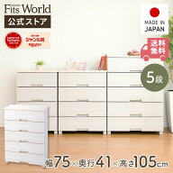 天板付き チェスト 衣装ケース 収納ケース 収納ボックス ホコリが入りにくい 衣類収納 フィッツプラス イ…