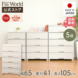 Vt `FXg ߑP[X [P[X [{bNX ق肪ɂ ߗގ[ tBbcvX C[W[ FE6505 Jv`[m o vX`bN 5i 65 105cm Vn X {