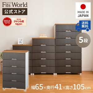 15OFFN[|I11/14 10:00`11/16`FXg ߑP[X [P[X [{bNX ߗގ[ tBbcvX bV FM6505 uE o vX`bN 5i 65 105cm Vn  