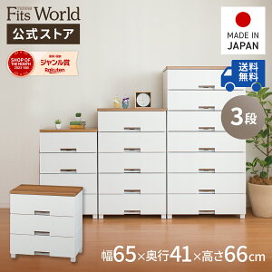 `FXg ߑP[X [P[X [{bNX ߗގ[ tBbcvX bV FM6503 zCg o vX`bN 3i 65 66cm Vn  X {