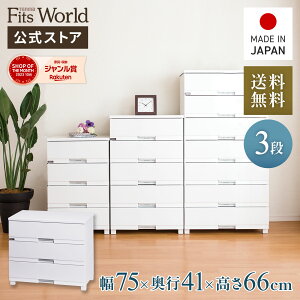 15OFFN[|I11/14 10:00`11/16`FXg ߑP[X [P[X [{bNX ߗގ[ tBbcvX v~A FP7503 Z~bNzCg i o 3i 75 66cm [ E