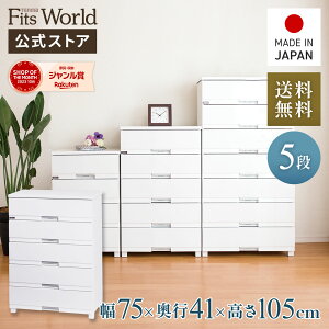 15OFFN[|I10/30 0:00`23:59`FXg ߑP[X [P[X [{bNX ߗގ[ tBbcvX v~A FP7505 Z~bNzCg i o 5i 75 105cm [ E