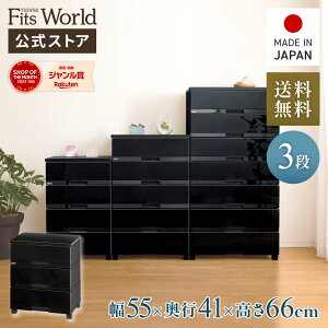 MAX20OFFN[|I11/4 20:00`11/11 1:59`FXg ߑP[X [P[X [{bNX ߗގ[ tBbcvX v~A FP5503 v~AubN o 3i 55 66cm [ Eߏ