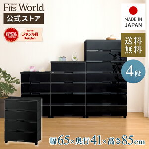 MAX20OFFN[|I11/4 20:00`11/11 1:59`FXg ߑP[X [P[X [{bNX ߗގ[ tBbcvX v~A FP6504 v~AubN o 4i 65 85cm [ Eߏ