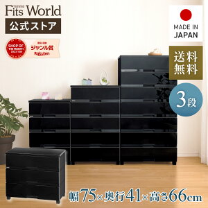 MAX20OFFN[|I11/4 20:00`11/11 1:59`FXg ߑP[X [P[X [{bNX ߗގ[ tBbcvX v~A FP7503 v~AubN o 3i 75 66cm [ Eߏ