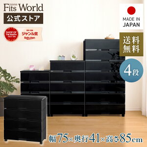 MAX20OFFN[|I11/4 20:00`11/11 1:59`FXg ߑP[X [P[X [{bNX ߗގ[ tBbcvX v~A FP7504 v~AubN o 4i 75 85cm [ Eߏ