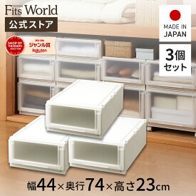 【送料無料】フィッツユニットケース(L) 4423 3個セット カプチーノフィッツ ユニット 奥行74 fits プラスチック 天馬 公式 公式店 日本製