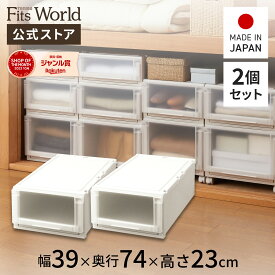 【送料無料】フィッツユニットケース(L) 3923 2個セット カプチーノフィッツ ユニット 奥行74 fits プラスチック 天馬 公式 公式店 日本製