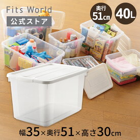 プロフィックス フリーボックス 50深型 ホワイト収納ケース プラスチック 衣装ケース フタ付き おもちゃ箱 ボックス 収納 フタ 付き おもちゃ キッチン ランドリー 天馬