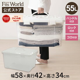 プロフィックス フリーボックス 55 ハンドル付 ホワイト収納ケース プラスチック 衣装ケース フタ付き おもちゃ箱 ボックス 収納 フタ 付き おもちゃ 天馬