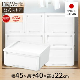 プロフィックス カバゾコ モノ 45 ホワイト収納ケース 衣装ケース 収納 ケース ボックス 引出し 引き出し 積み重ね プラスチック 天馬 公式 公式店 日本製