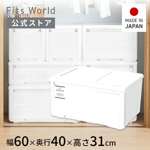 �v���t�B�b�N�X �J�o�]�R ���m 60�[�^ �z���C�g���[�P�[�X �ߑ��P�[�X ���[ �P�[�X �{�b�N�X ���o�� �����o�� �ςݏd�� �v���X�`�b�N �V�n ���� �����X ���{��