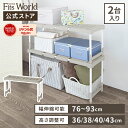 ピタッ！と伸びるん棚 クローゼット用 レギュラータイプ 2台入つっぱり棒 突っ張り棒 棚 収納棚 伸縮式 調節 プラスチック 天馬
