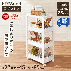 ܎[ S Lb` h[ LX^[t t@rG XLs^ SX4i W-030W 27cm s45cm 85cm [ 4i  vX`bN Vn