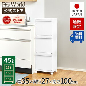 【通販限定】ホワイトラッシュ 多段分別 WR-353ホワイト 白 ゴミ箱 分別 キッチン ごみ箱 ダストボックス プラスチック 天馬 日本製