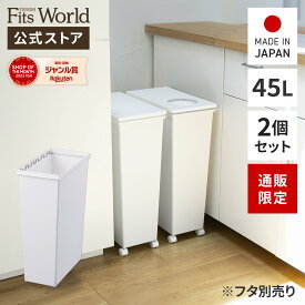 【通販限定】ゴミ箱 おしゃれ 分別 スリム ホワイト キッチン ホワイトラッシュ スマートペール 45リットル 本体 2個セット ごみ箱 ダストボックス プラスチック 天馬 日本製